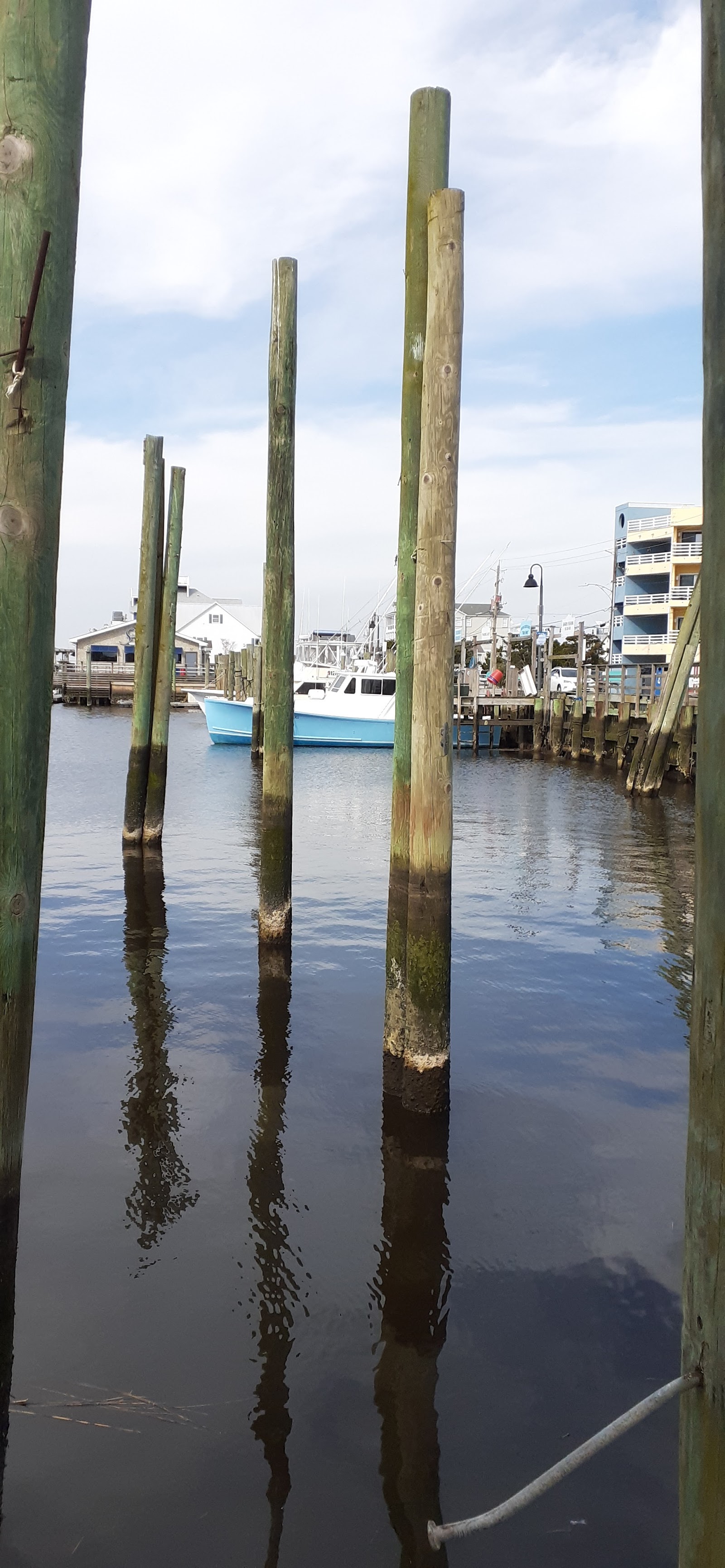 Carolina Beach Municipal Marina Docks