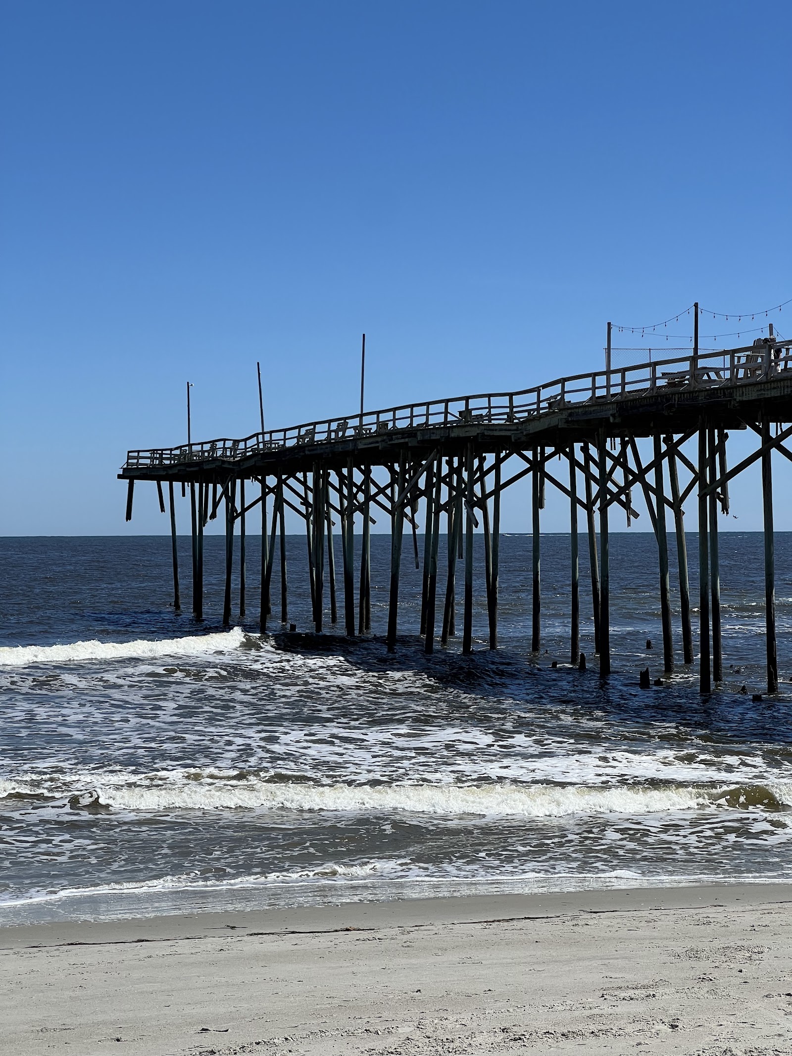 Carolina Beach State Park Campground