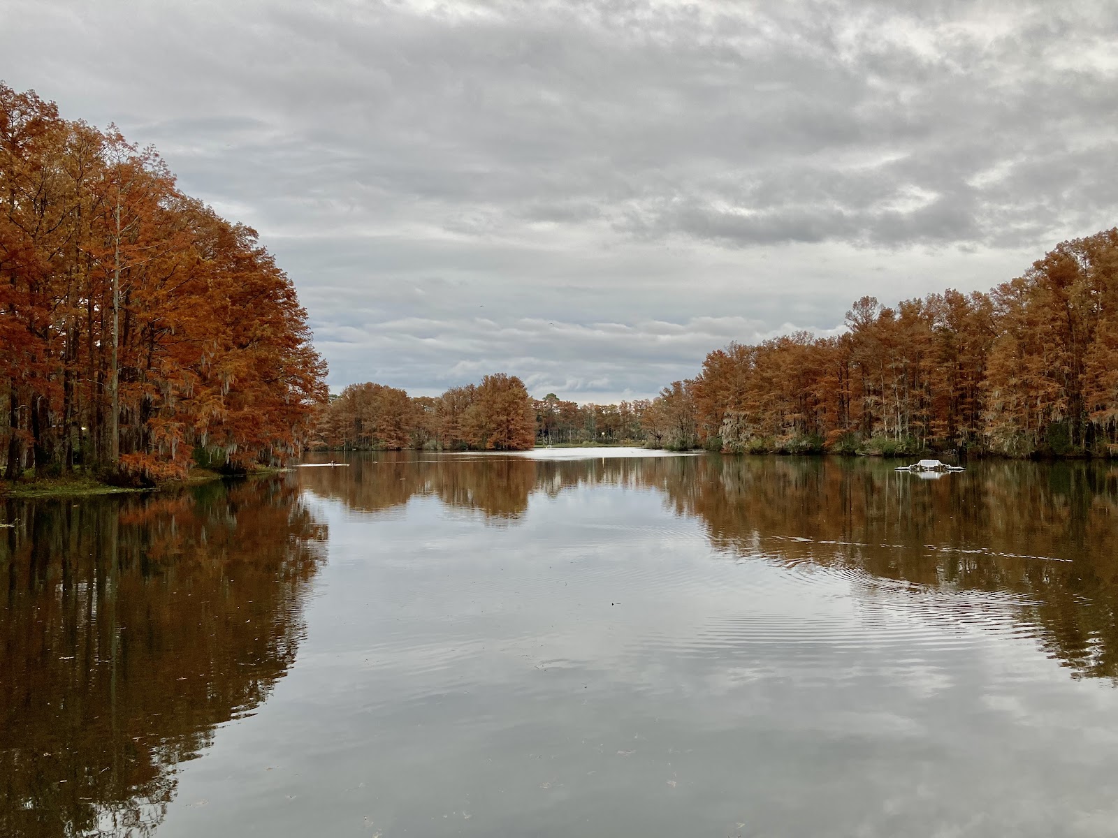Greenfield Lake