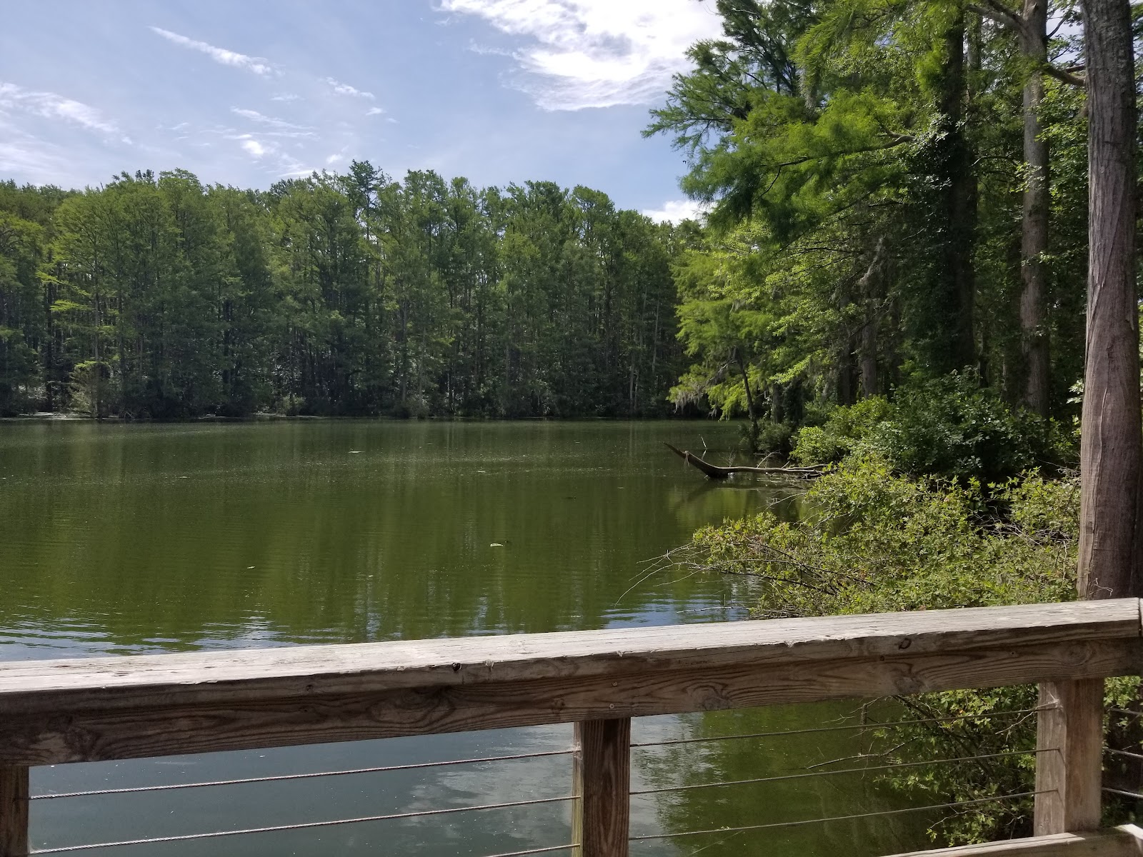 Greenfield Park