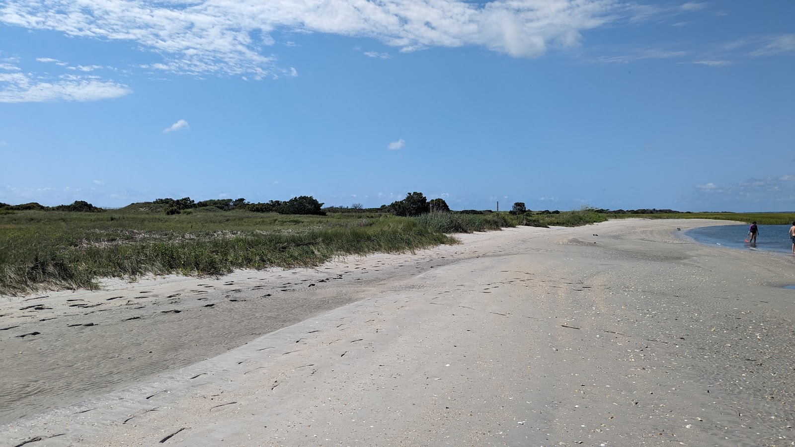 Masonboro Island