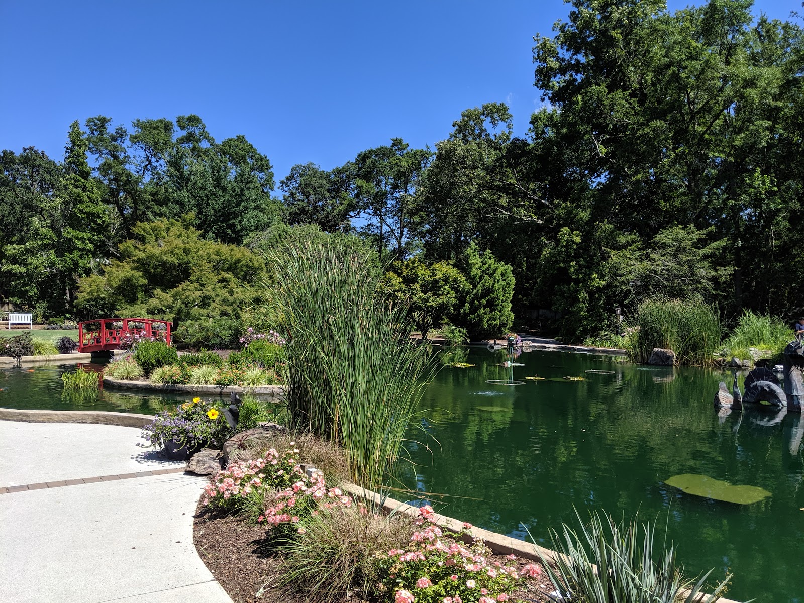 New Hanover County Arboretum