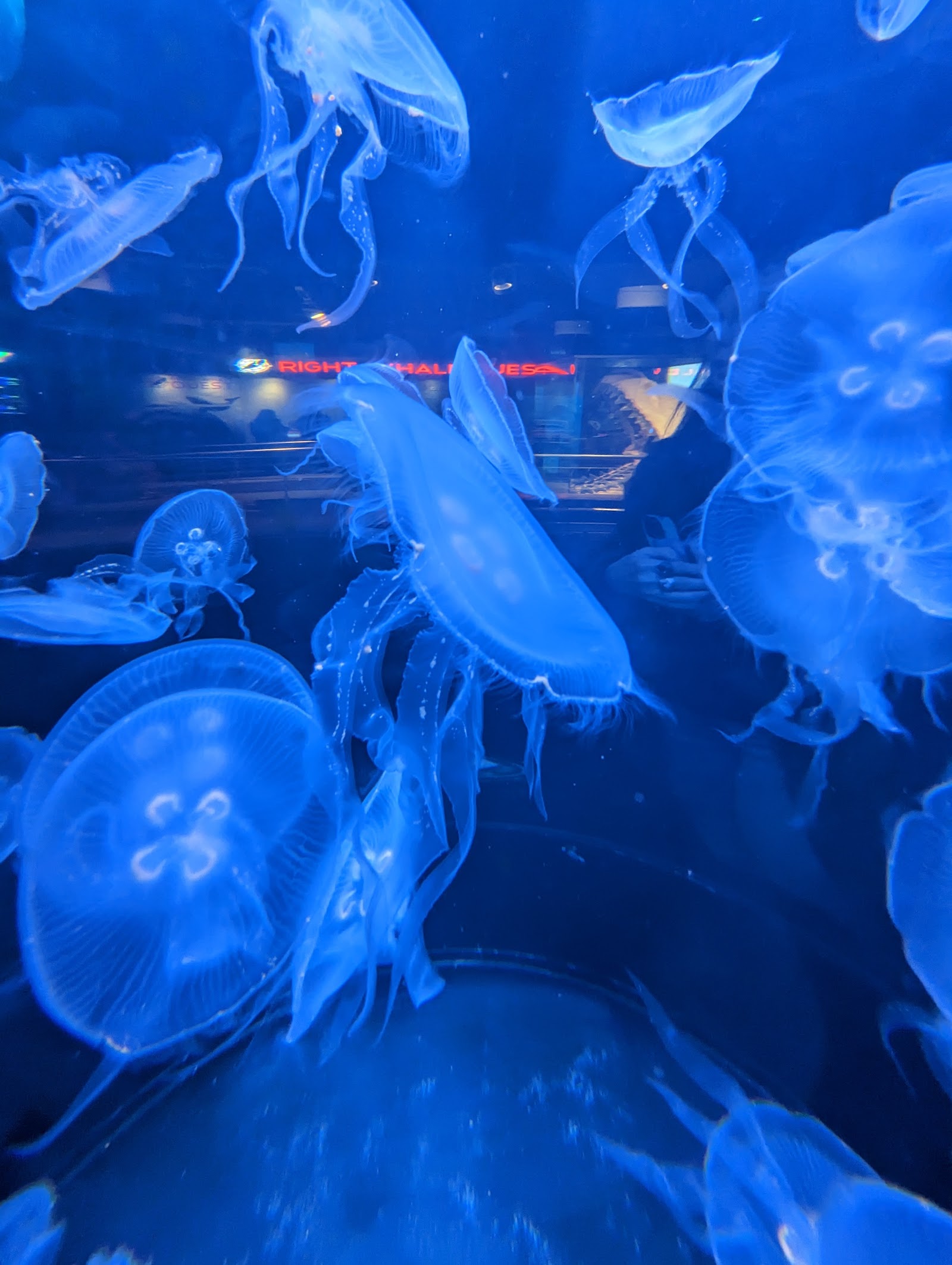 North Carolina Aquarium at Fort Fisher