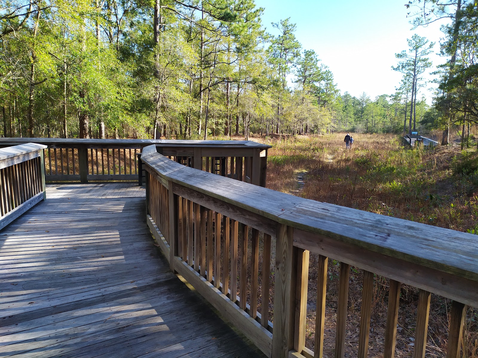 Stanley Rehder Carnivorous Plant Garden