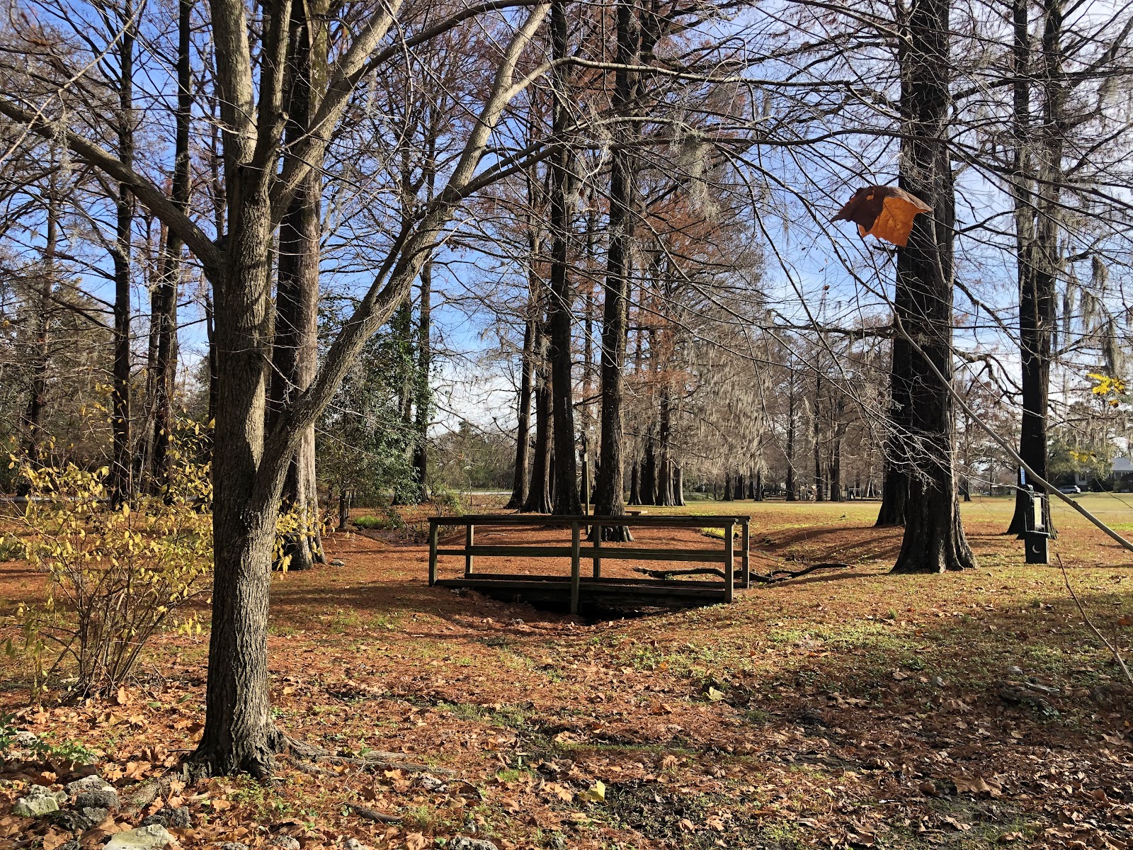 Wallace Park